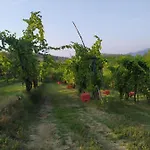 Marzolara. Monzuno