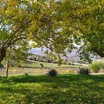 Marzolara.