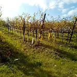 Farmház Marzolara.