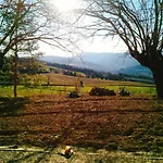Marzolara. *