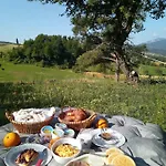 Marzolara. Monzuno