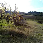 Farmház Marzolara.