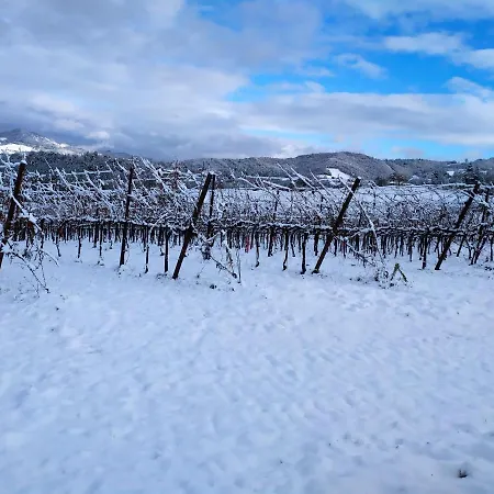 Κατάλυμα σε φάρμα Marzolara.