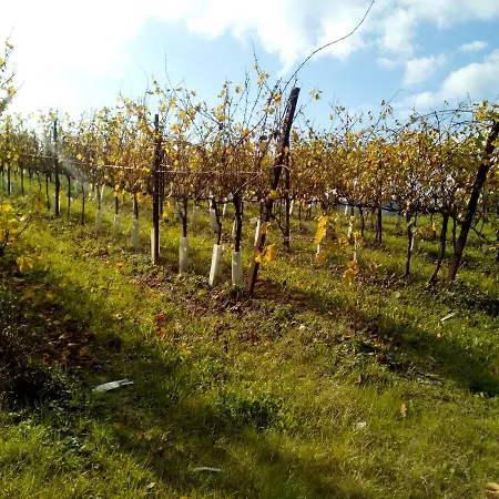 팜스테이 Marzolara.