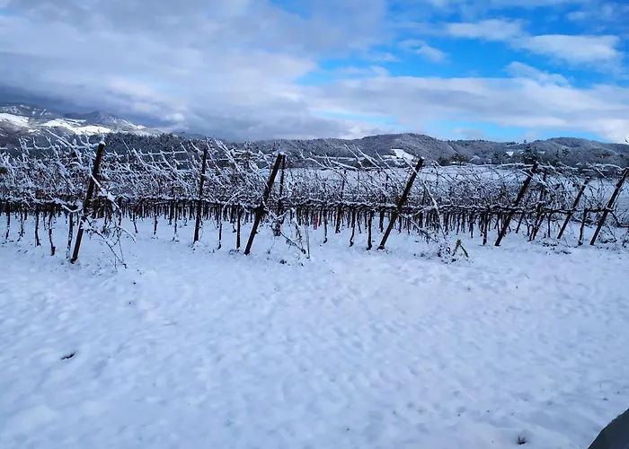 Κατάλυμα σε φάρμα Marzolara.