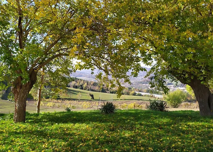 Marzolara.