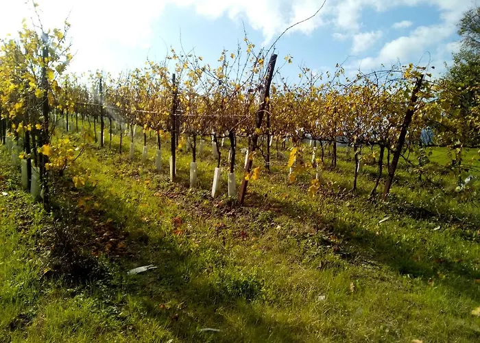 Alloggio per agriturismo Marzolara.